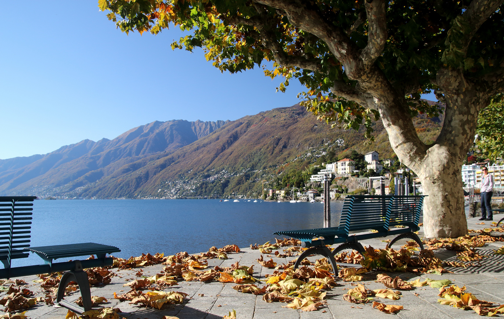 Lago Maggiore Im November Foto Bild Natur Landschaft See Berge Lago Maggiore Ascona Schweiz Herbst Blat Bilder Auf Fotocommunity