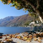 Lago Maggiore im November