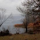 Lago Maggiore im November