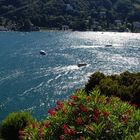 Lago Maggiore, Italia