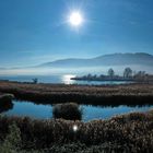 Lago-Maggiore - kurz nach Verbano richtung Süden