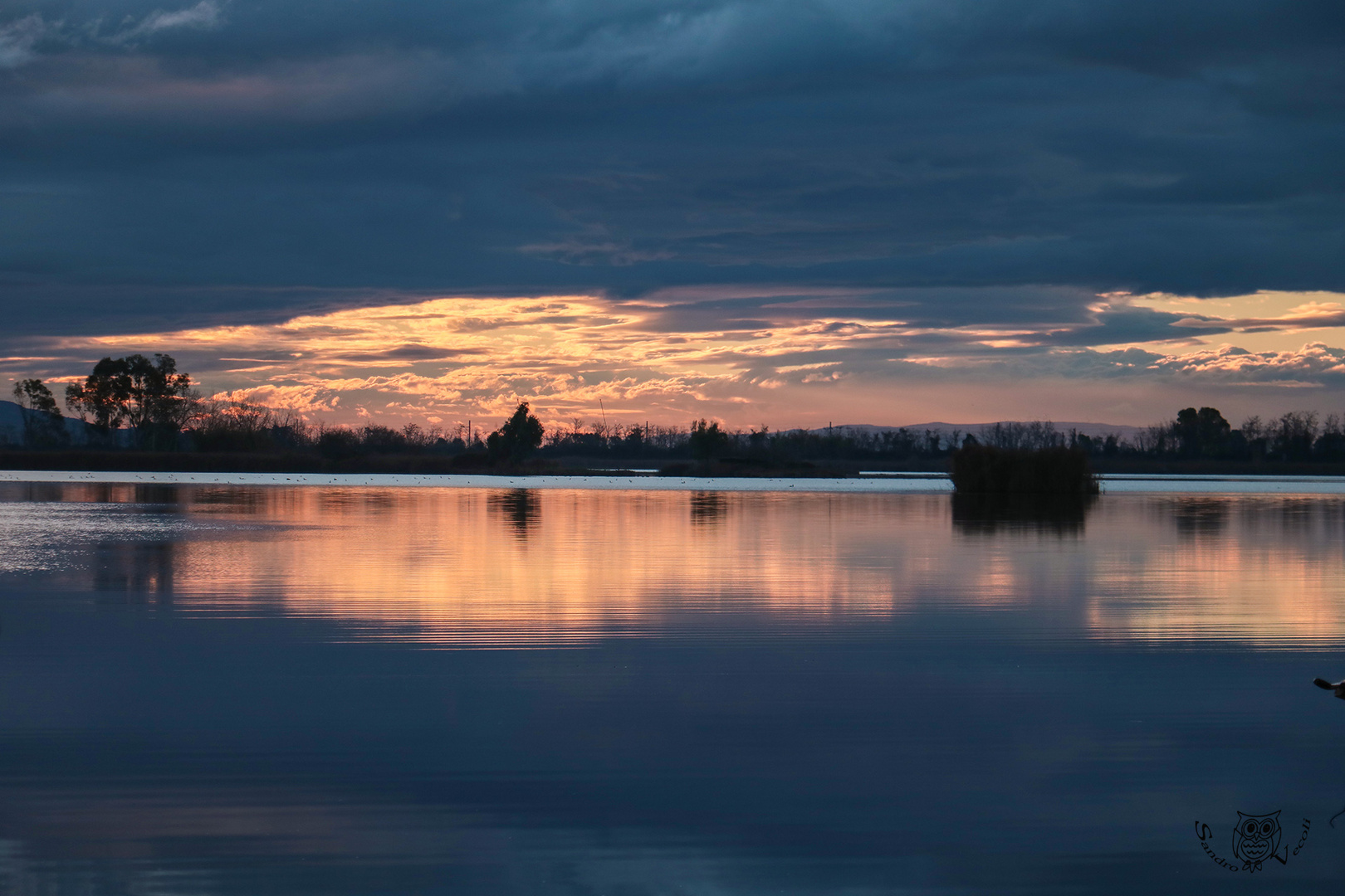 lago massaciuccoli