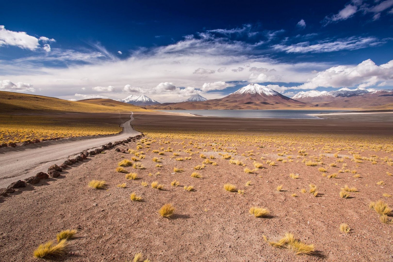 Lago Miscanti Chile Atacama