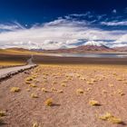 Lago Miscanti Chile Atacama