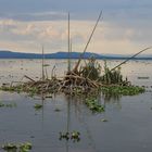 lago naivasha kenya