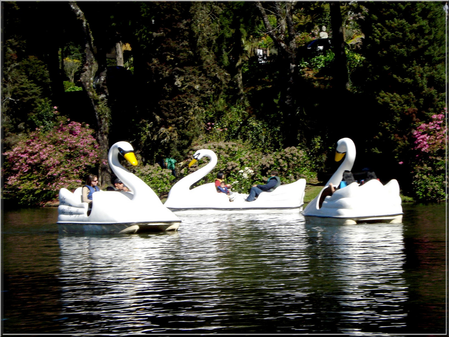 Lago Negro- Gramado- RS