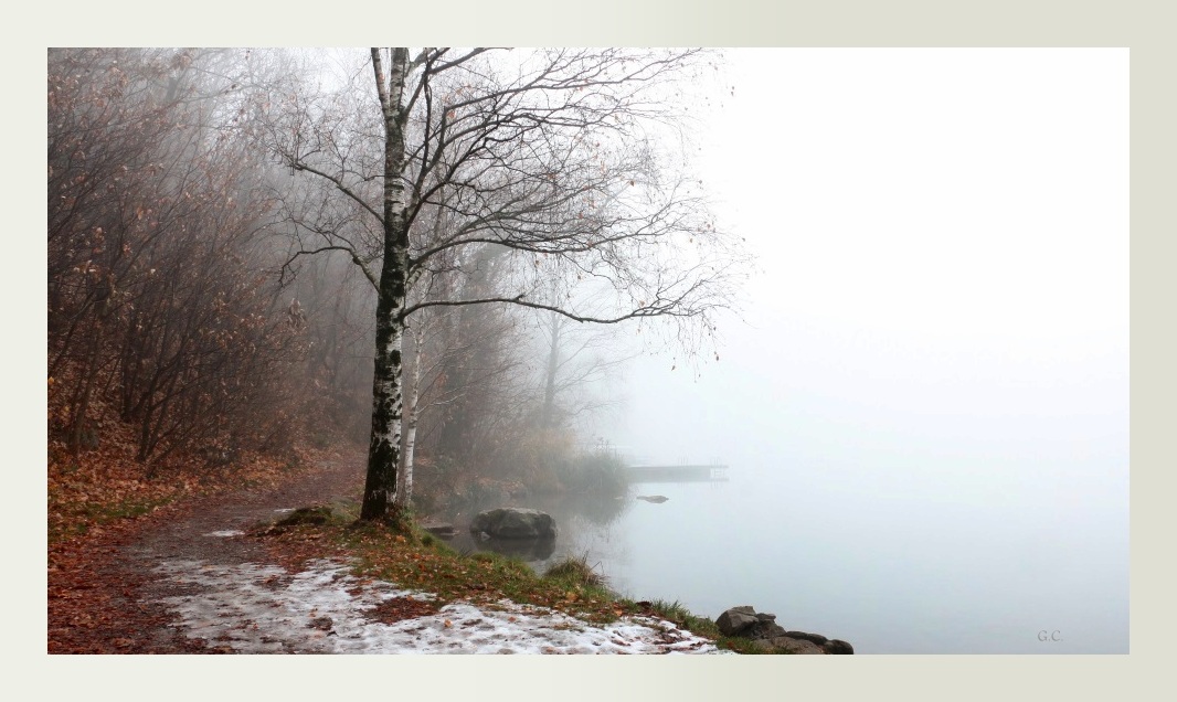 Lago nella nebbia