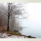 Lago nella nebbia