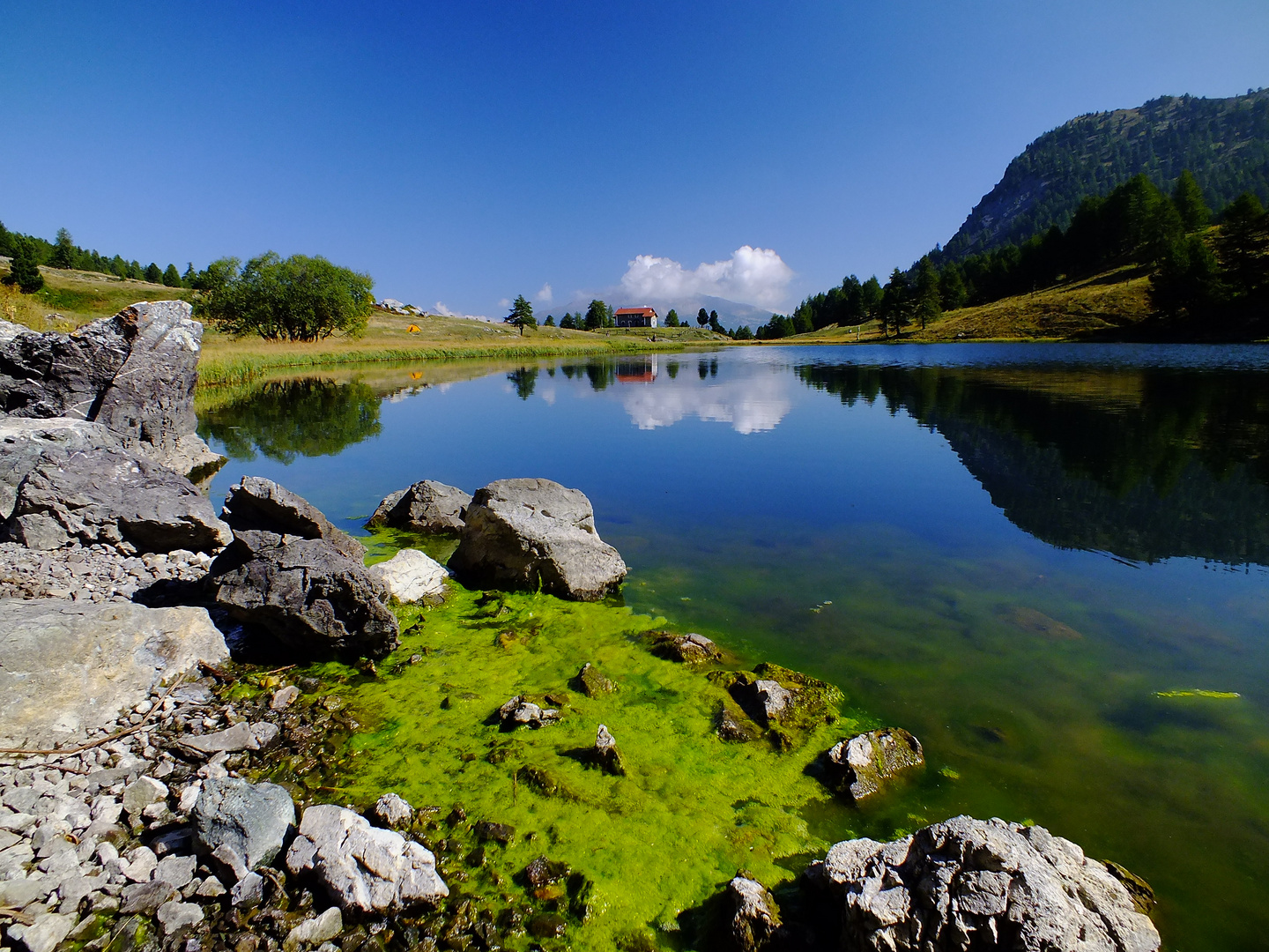 Lago Nero 2014 m.