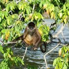 Lago Nicaragua