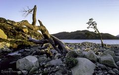 Lago Nordenskjöld