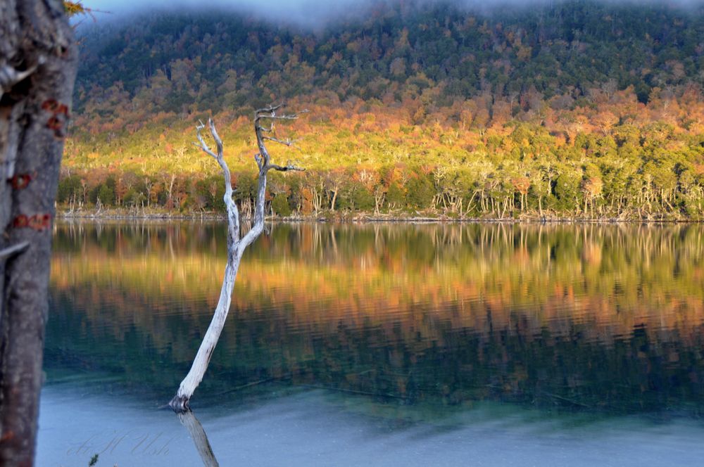 Lago, Nubes y bosque en otoño