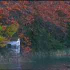 LAGO OTOÑAL