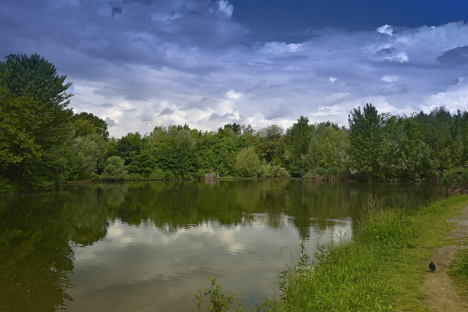 Lago palustre