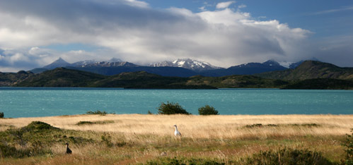 Lago Pehoe