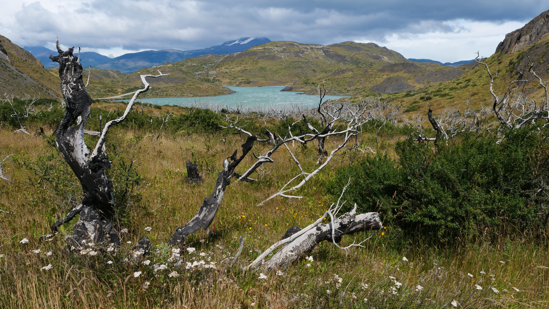 Lago Pehoe 