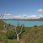 Lago Pehoe - Parque Nacional Torres del Paine - Chile