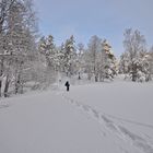 Lago Piikjarv