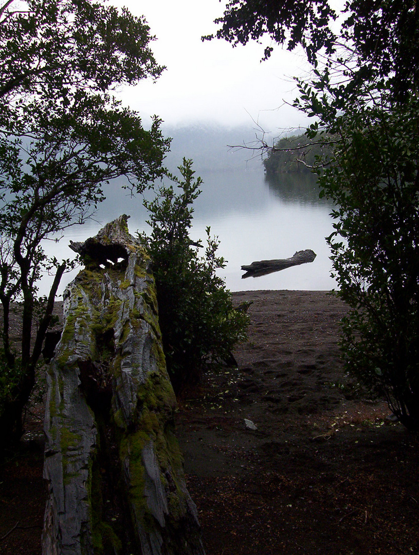 Lago Pirehueico Chile