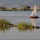 Lago Puccini