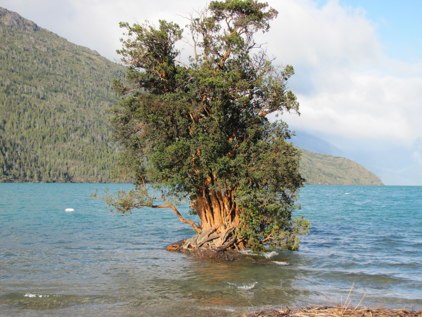 lago puelo