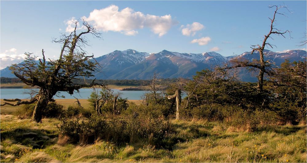 LAGO ROCA