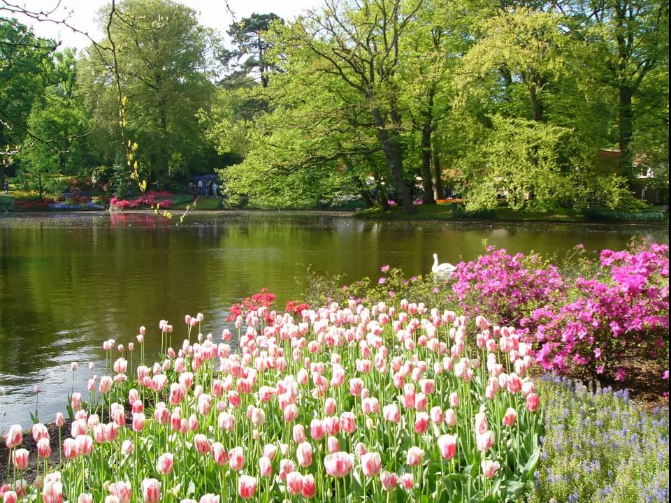 Lago rodeado de arboles y flores