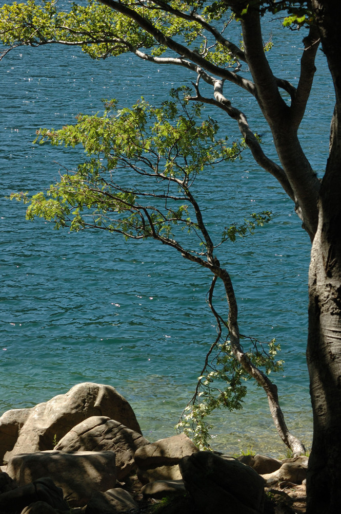 Lago Santo