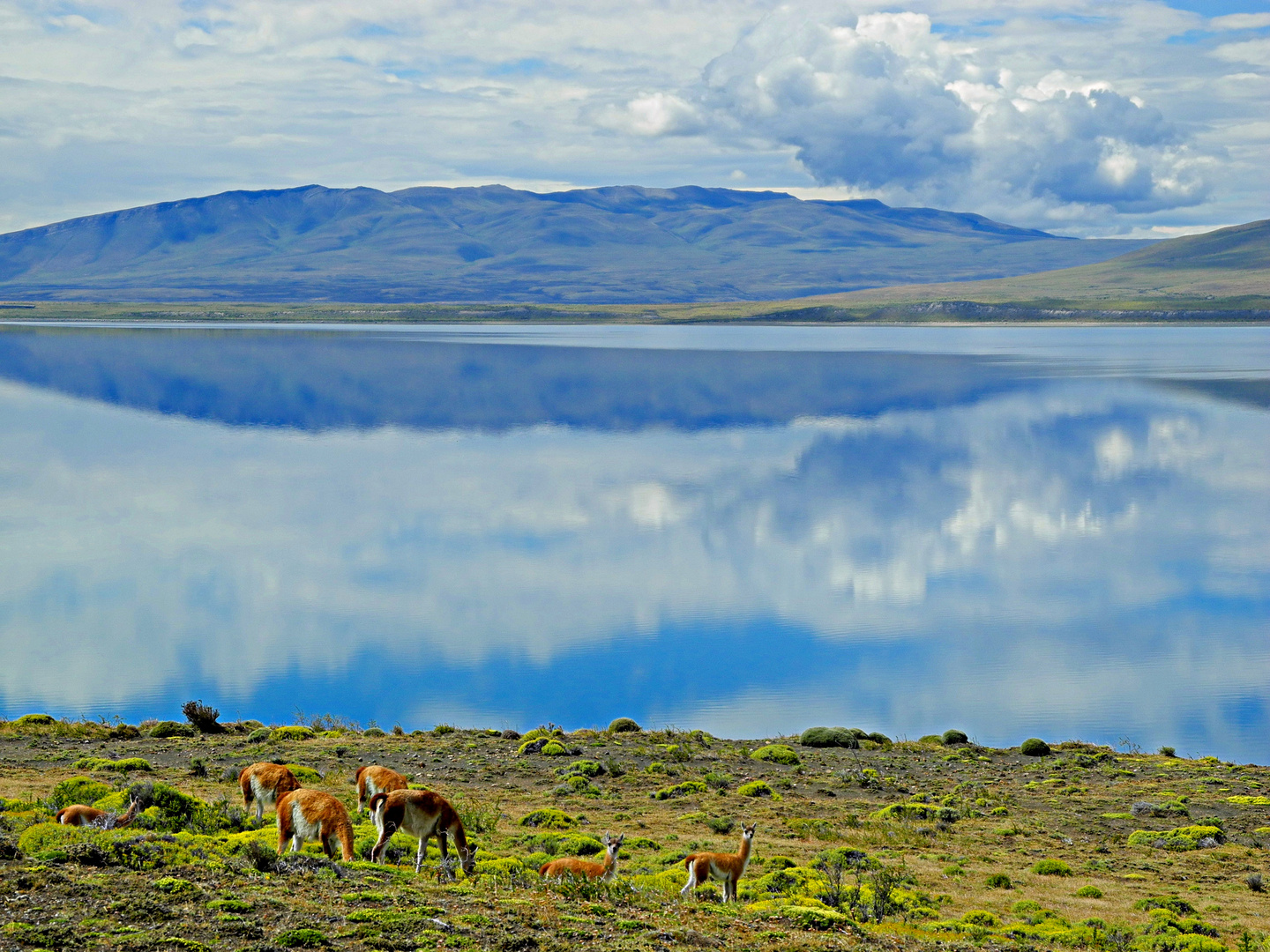 "Lago Sarmiento Chico"