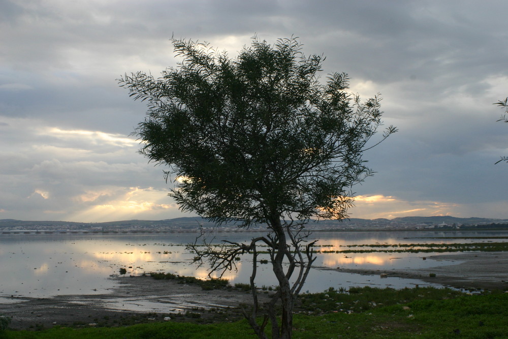 Lago Sejoumi