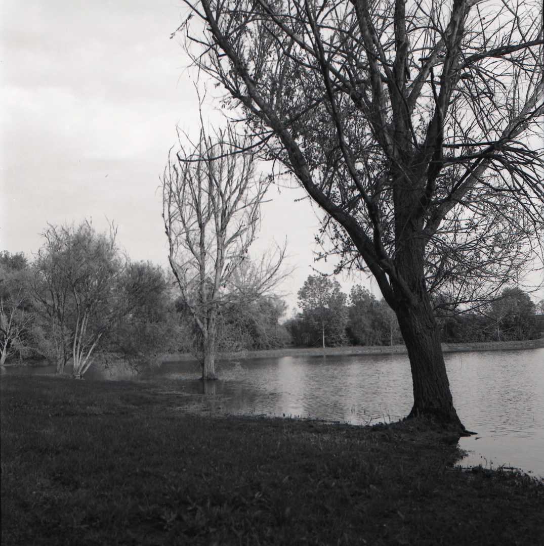 lago s.lorenzo