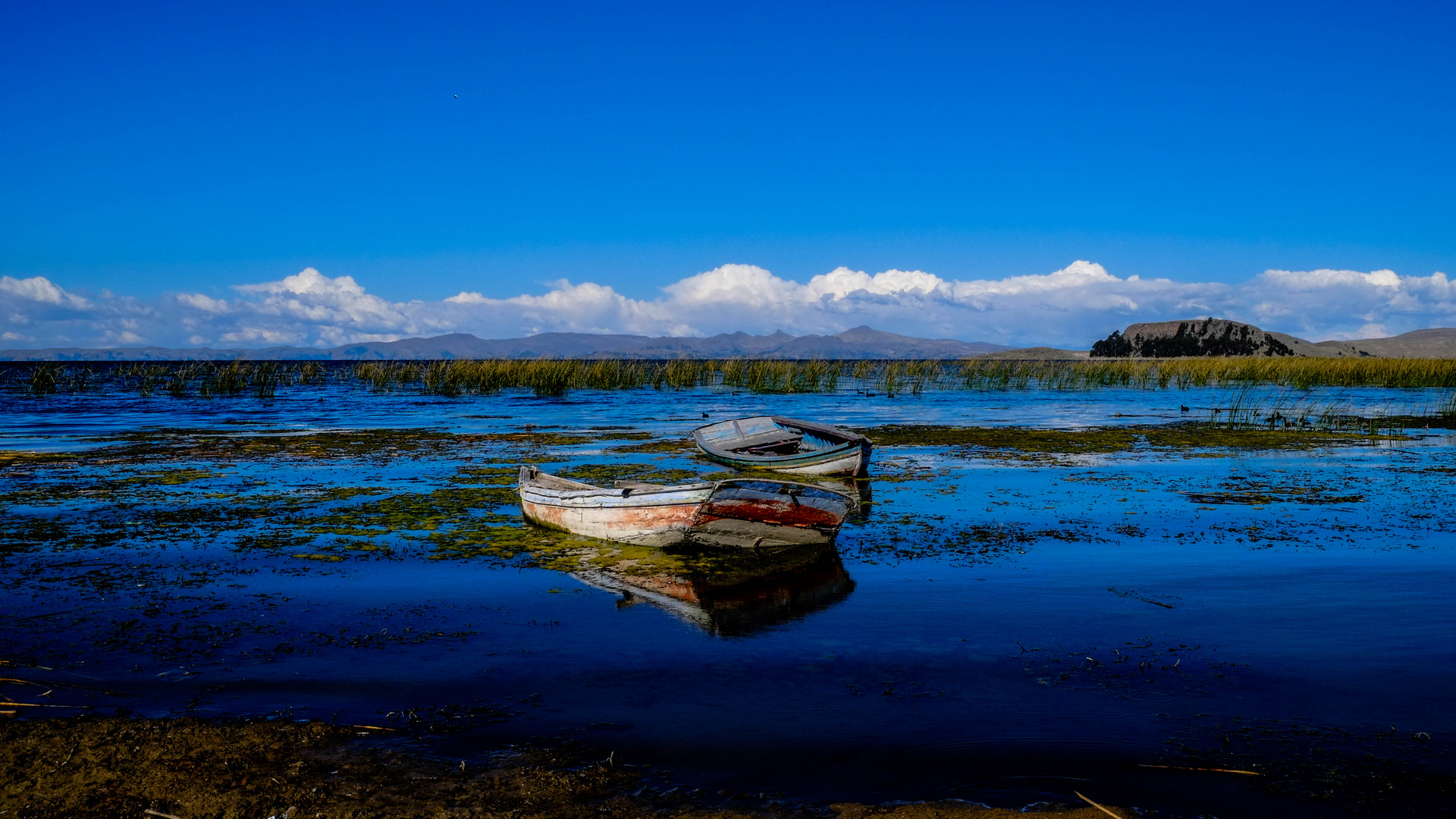 Lago Titicaca