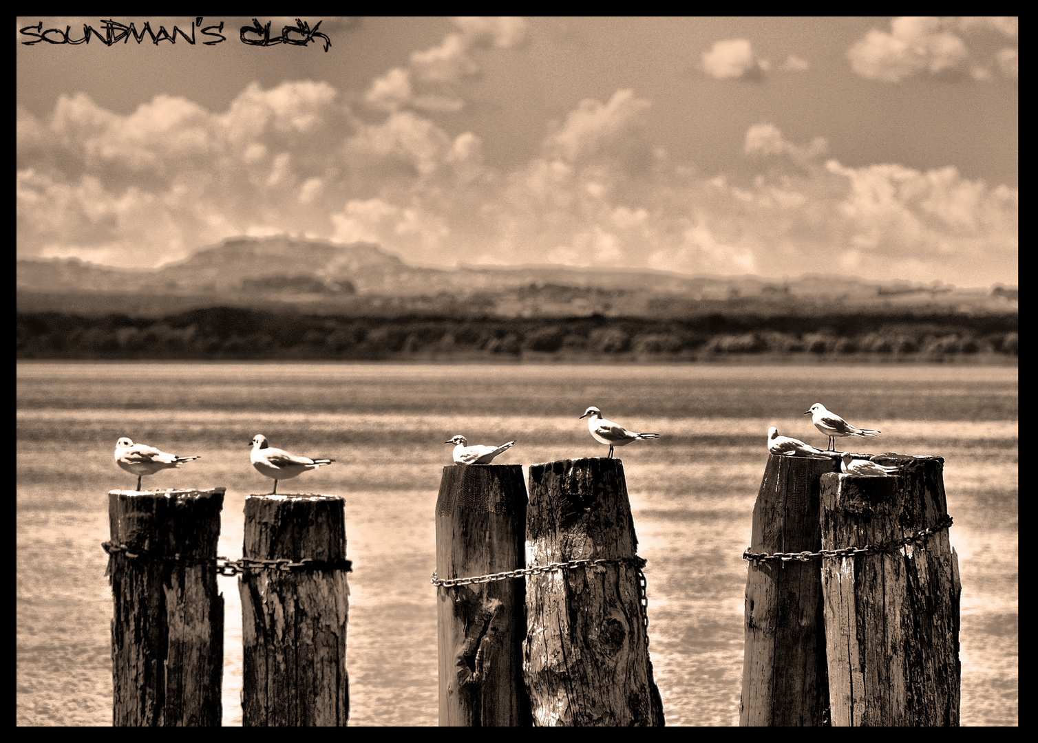 Lago trasimeno