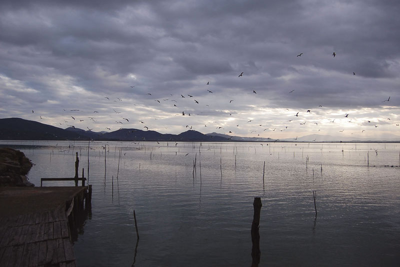 Lago Trasimeno