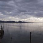 Lago Trasimeno