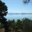 Lago Trasimeno #1