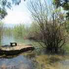 Lago Trasimeno