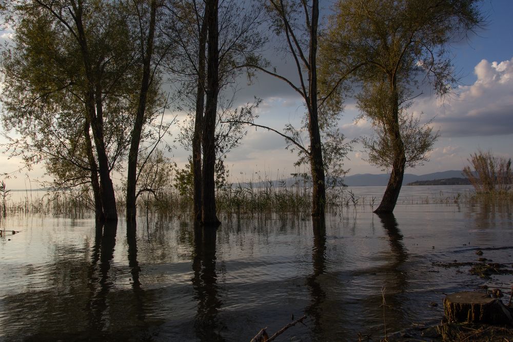 Lago Trasimeno