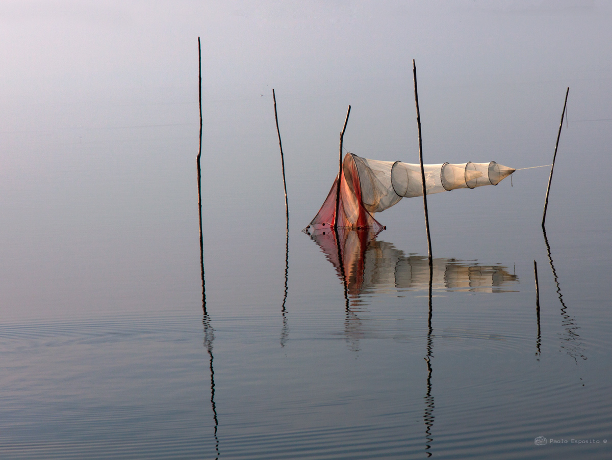 lago trasimeno