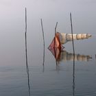 lago trasimeno