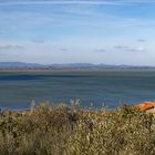 Lago Trasimeno