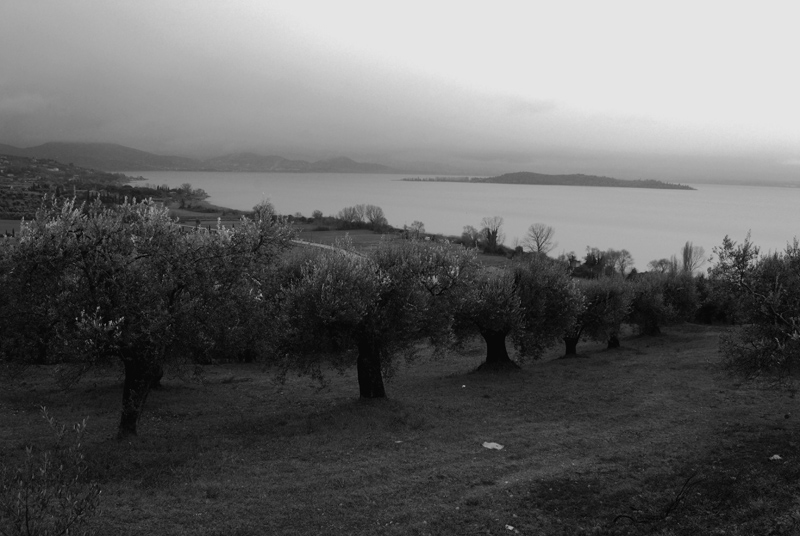 Lago Trasimeno