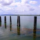 LAGO TRASIMENO