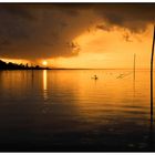 Lago Trasimeno