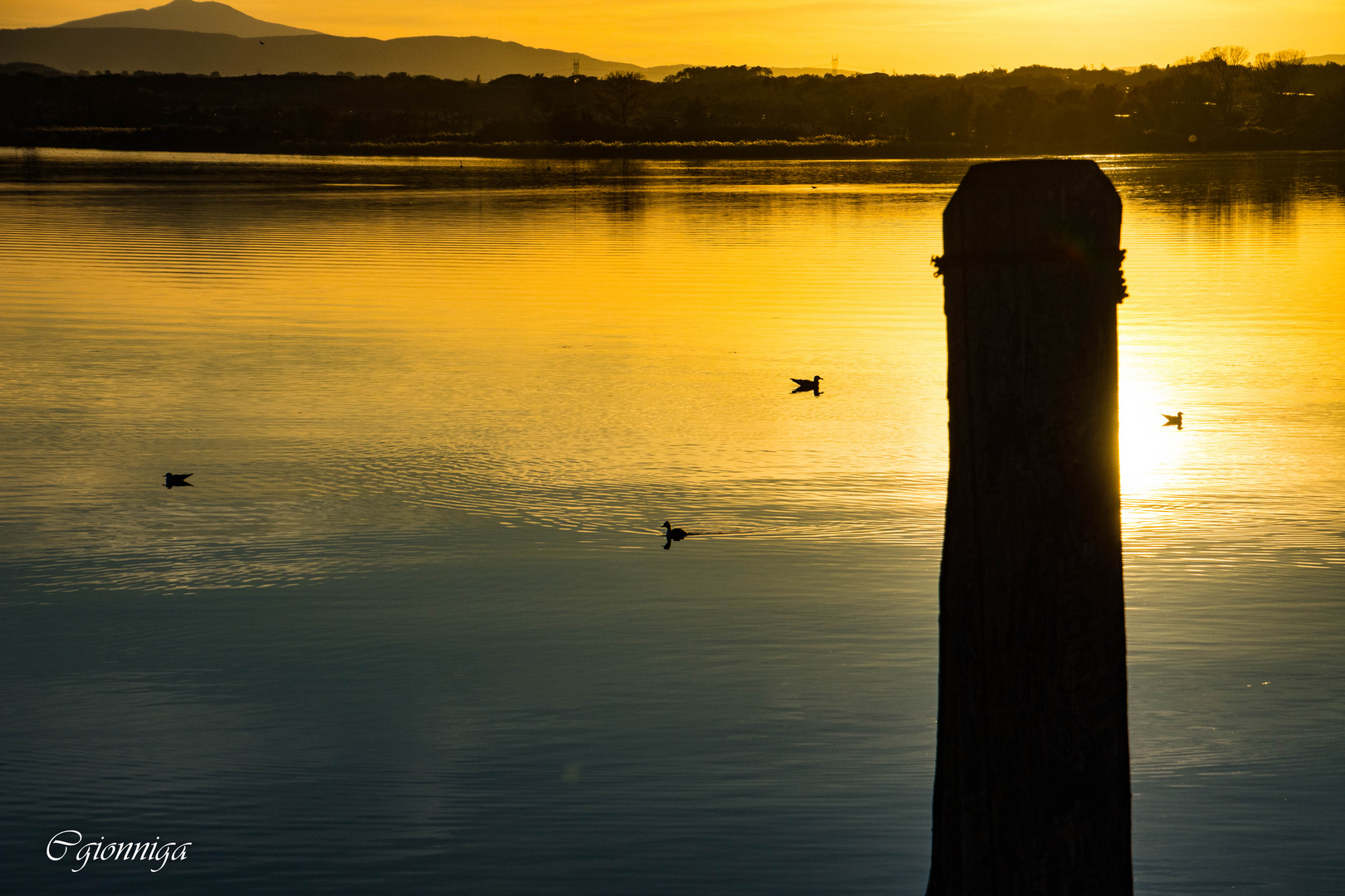 Lago Trasimeno