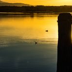 Lago Trasimeno