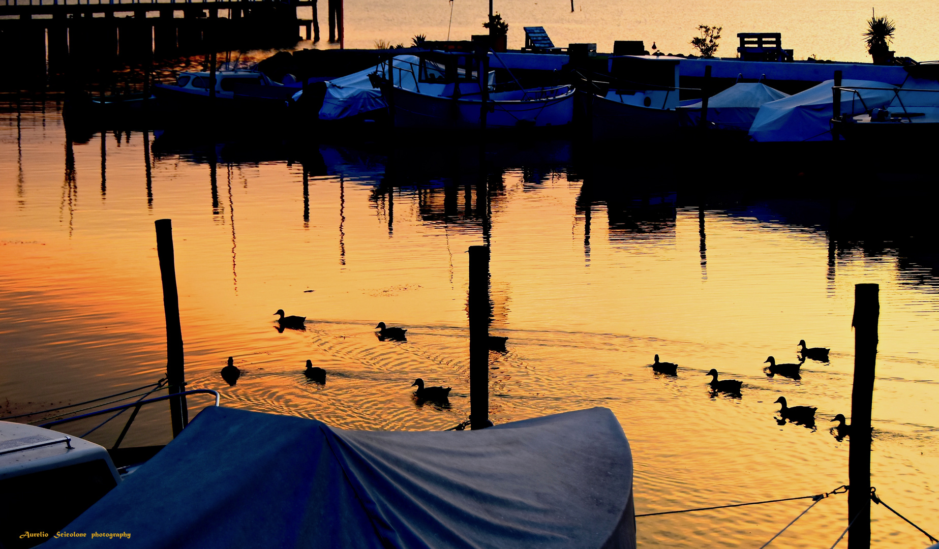 Lago Trasimeno - Torricella