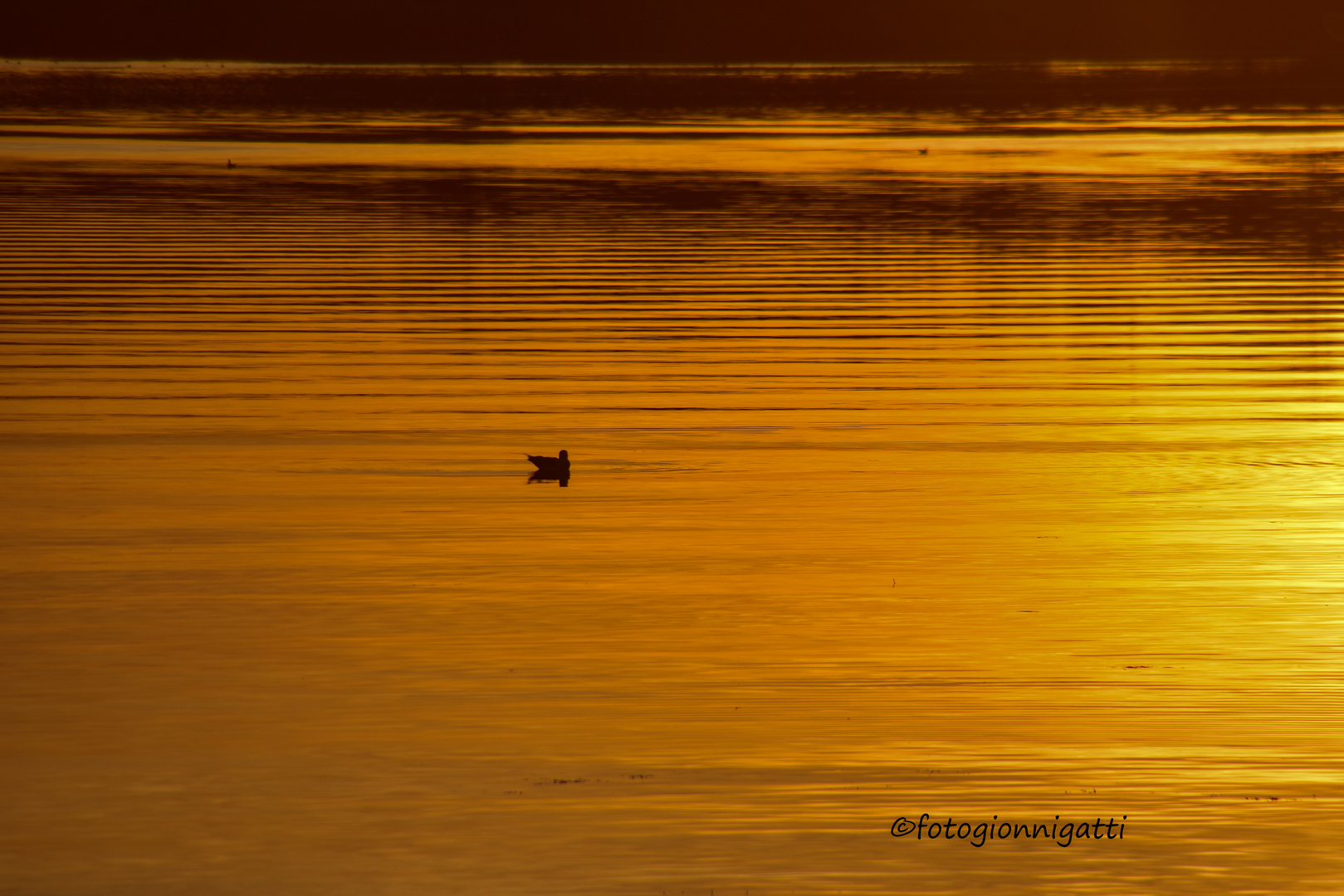 Lago Trasimeno - Tramonto al lago - Piscina privata