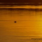 Lago Trasimeno - Tramonto al lago - Piscina privata