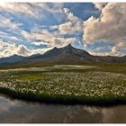 Lago verde del Gavia